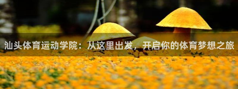 球客岛：汕头体育运动学院：从这里出发，开启你的体育梦想之旅