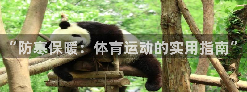 球客岛：“防寒保暖：体育运动的实用指南”