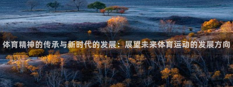 球客岛：体育精神的传承与新时代的发展：展望未来体育运动的发展方向