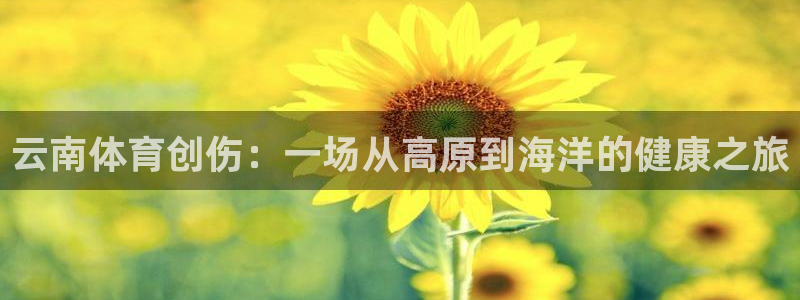 球客岛：云南体育创伤：一场从高原到海洋的健康之旅