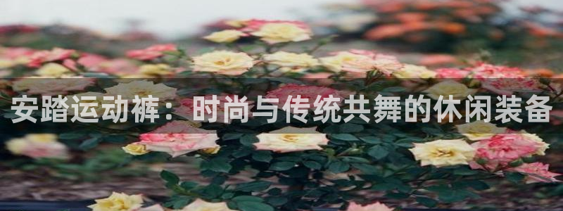 球客岛：安踏运动裤：时尚与传统共舞的休闲装备